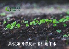 臭氧如何修復土壤和地下水