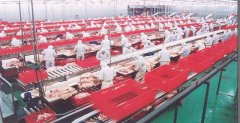 臭氧對肉制品車間消毒是如何進行的？